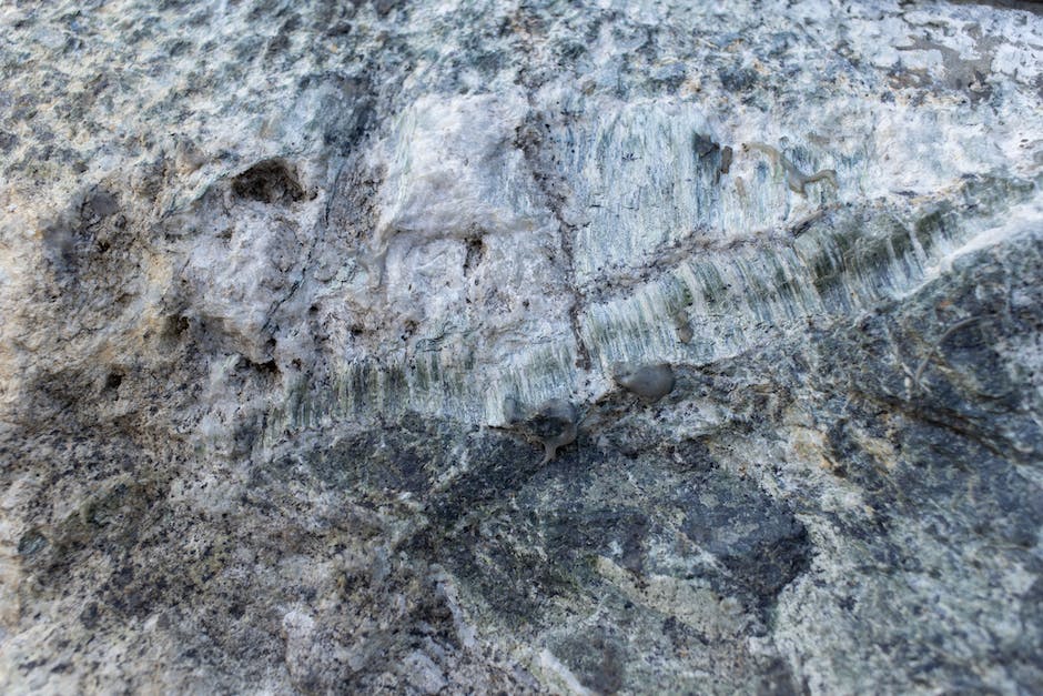 Stages of Effective Structural Drying