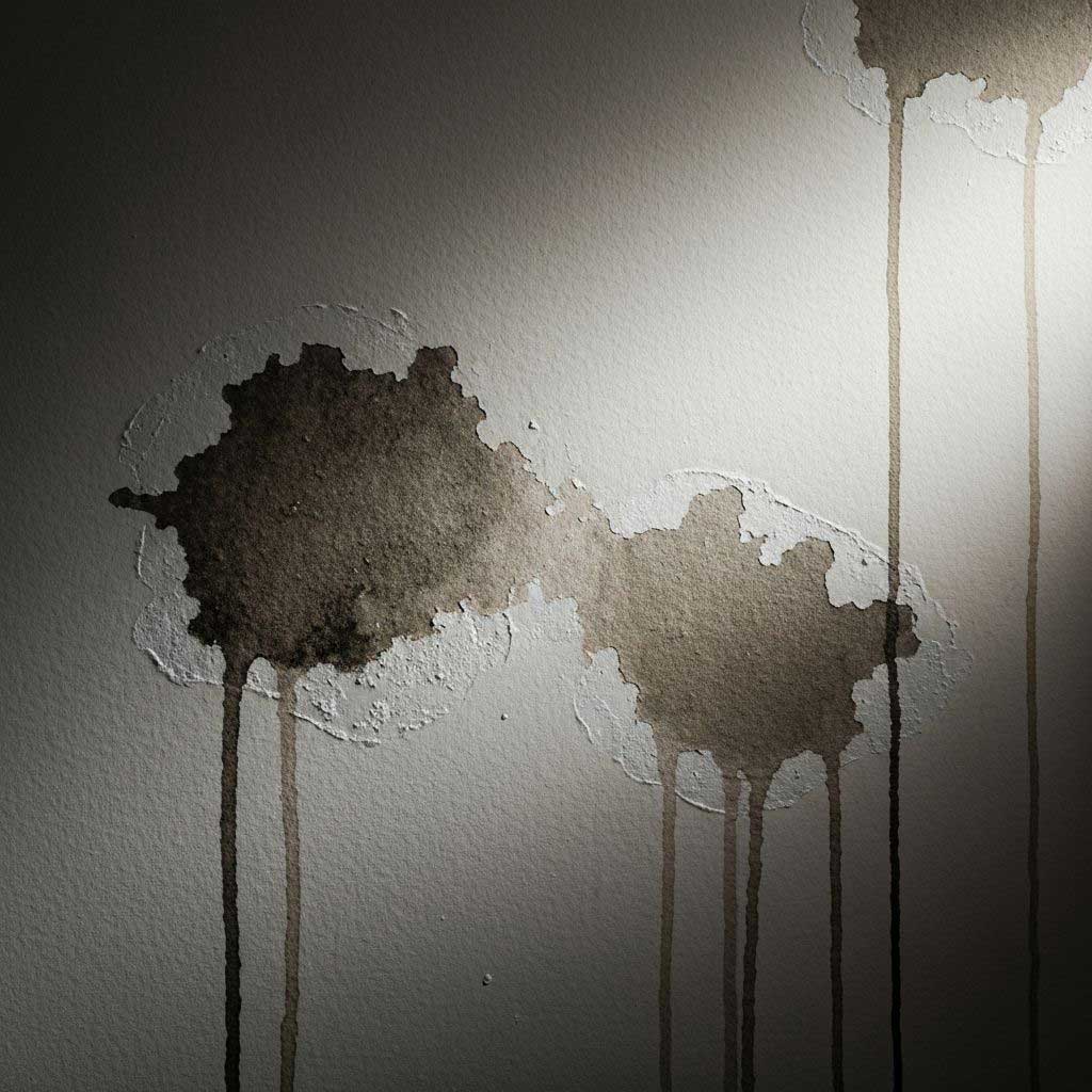 Professional Techniques for Drying Water-Damaged Walls